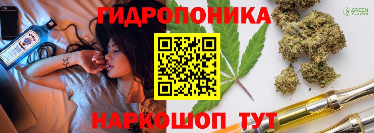 МАРИХУАНА конопля Мирный